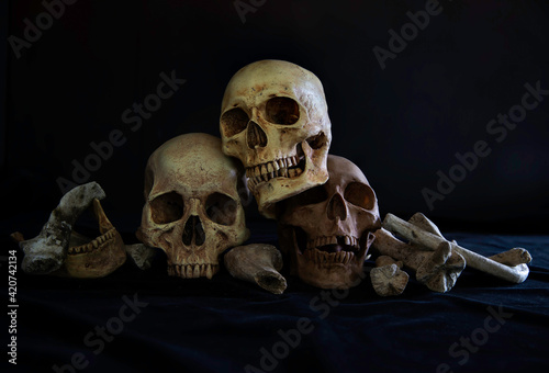 Pile of old skulls and Jaws put on the black cloth and dark background