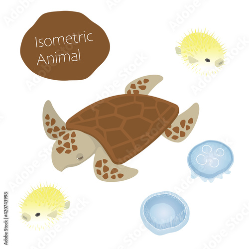 ウミガメとハリセンボンとクラゲのアイソメイラスト