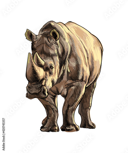 Rhinoceros from a splash of watercolor, colored drawing, realistic. Vector illustration of paints