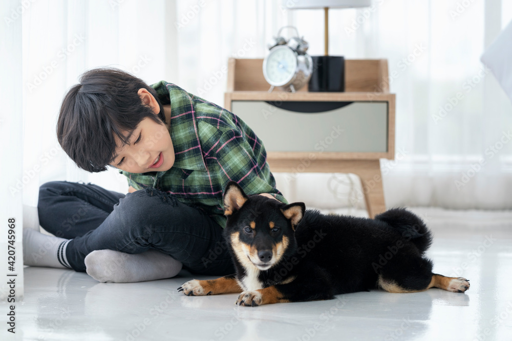 A boy is playing with a Shiba Inu in a bedroom in an apartment. A boy is playing with a Shiba Inu in a bedroom in an apartment.