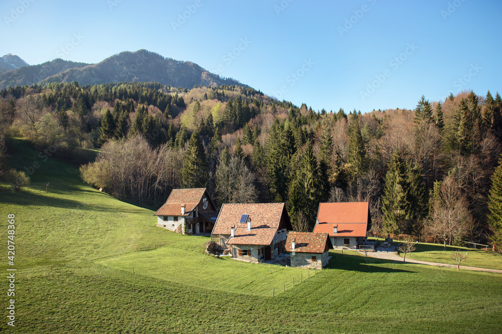 small village in the mountains, group of houses in a green field near the forest