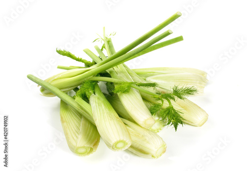 Fresh Vegetables - Young Fennel on white Background Isolated