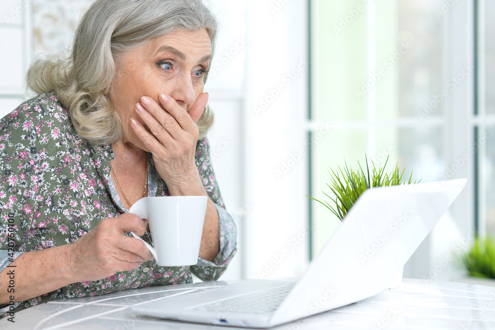 Happy senior woman using laptop Happy senior woman using laptop