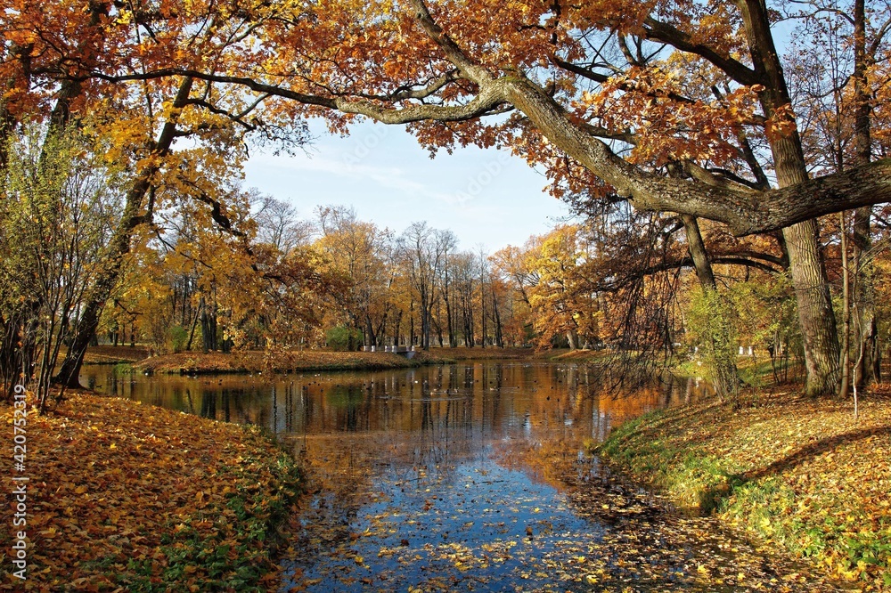 various nature landscape places at the daytime various nature landscape places at the daytime