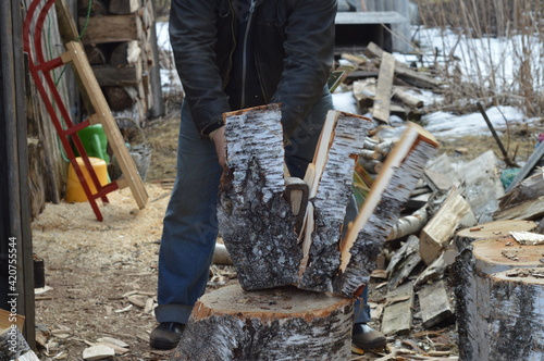 Man splitting birch log with an axe