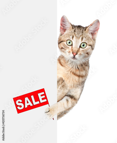Adult cat holds sales symbol behind empty white banner. Empty space for text. Isolated on white background