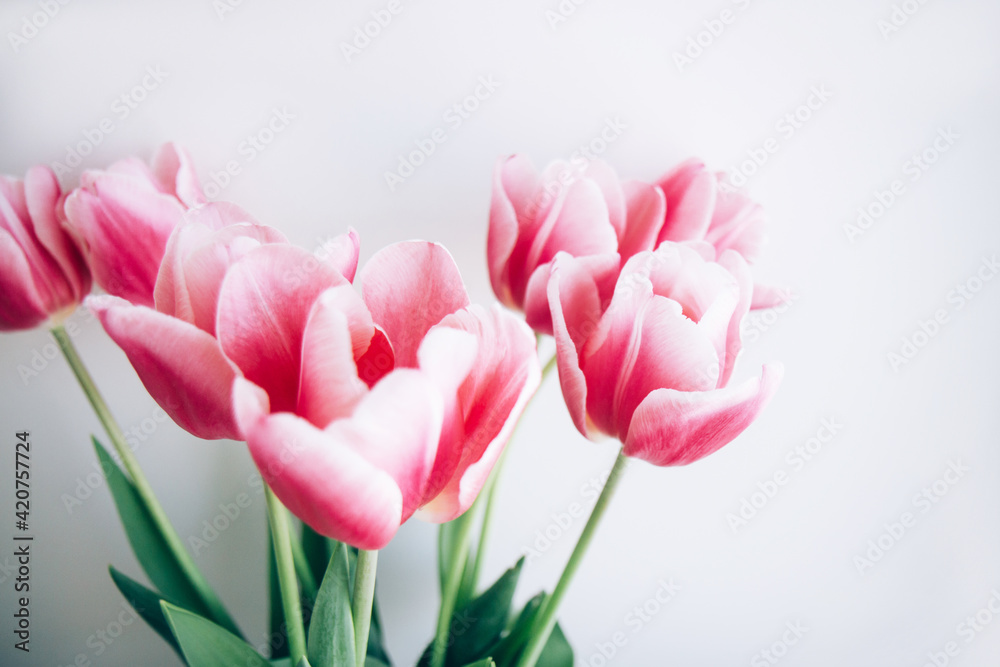 Obraz premium Bouquet of red tulips on light background. Spring flower. Mothers day, Valentines Day, Birthday concept