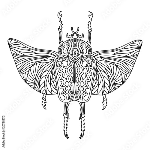 Beetle Goliath coloring page. Goliath beetle linear vector illustration. Anti-stress coloring book for adults and children 