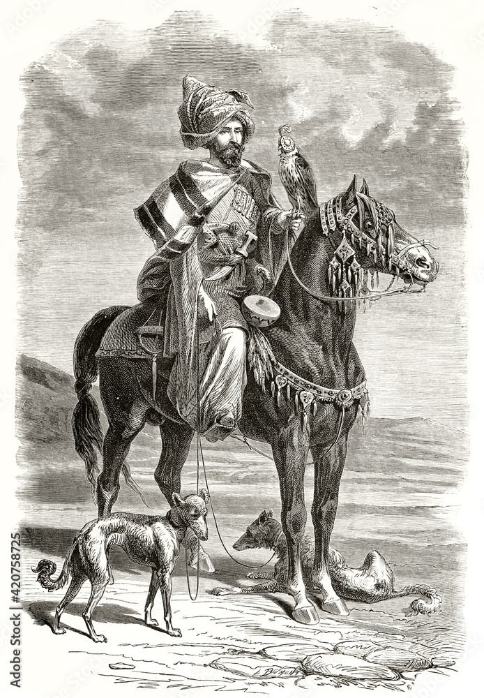 Fototapeta Kurdish falconer. Posing horseback with his equipment and fast slim hunting dogs on a flatland. Grey tone etching style art by Duhousset, Le Tour du Monde, 1862