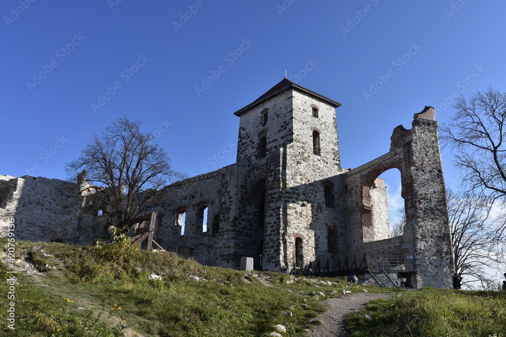 Fototapeta premium Castle, Tenczyn, Rudno, Malopolska, Trail of the Eagles' Nests,