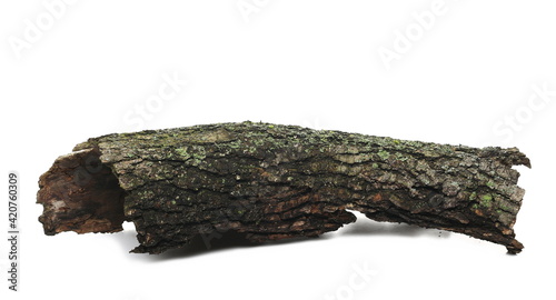 Green moss and lichen on tree bark isolated on white background, side view