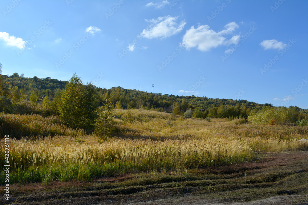 Autumn landscape with road along meadow with cereals and forest on the background