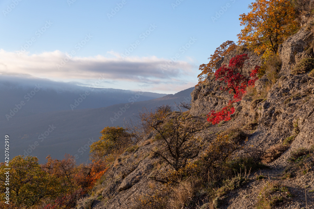 Red autumn leaves of a tree on a background of blue sky in the mountains.