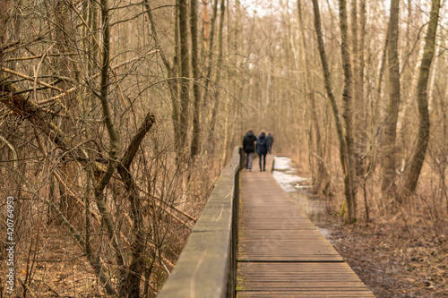 Wooden plank bridge over a swamp in the forest © ange1011