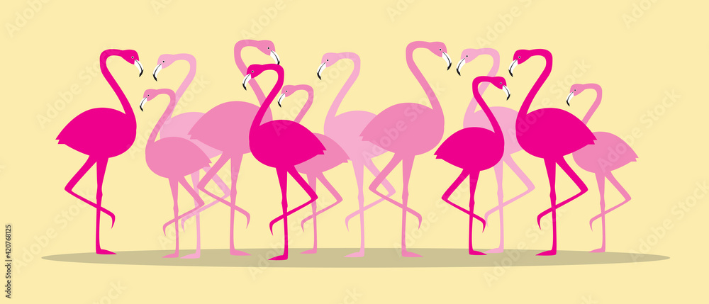Flock of flamingos isolated, flat vector stock illustration with pink exotic birds, animals on yellow background