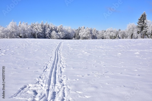 Brdy Hills region during winter time with clear blue skies, Czech Republic. © Radko