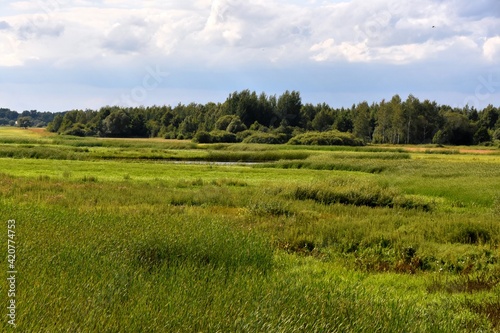 Biebrza National Park  nature reserve  Podlasie   