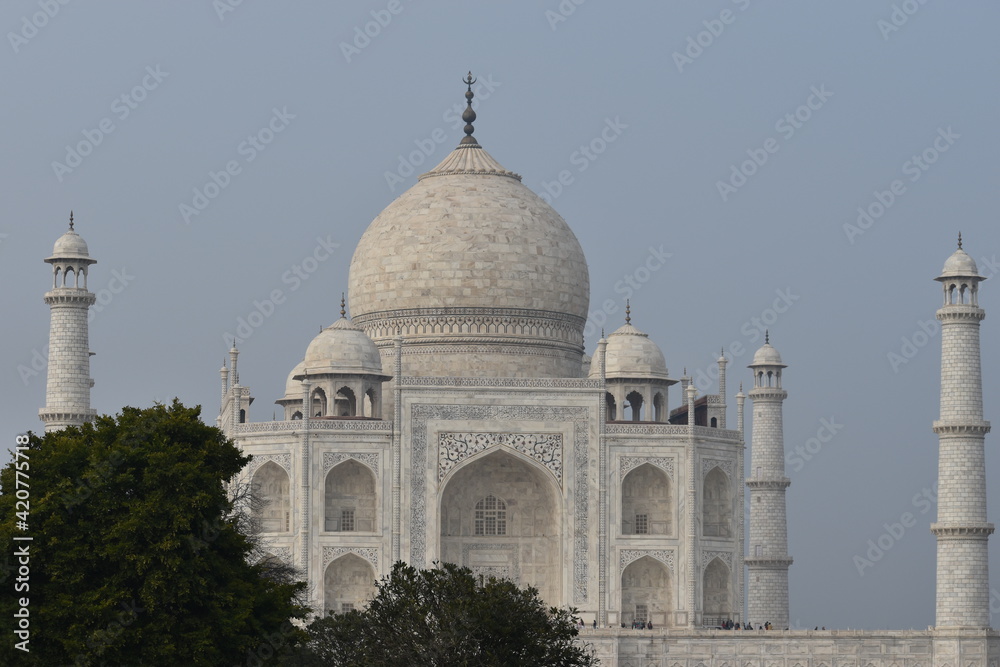 Beautiful a Structures Monuments Gardens with Flowers in Agra and Taj Mahal