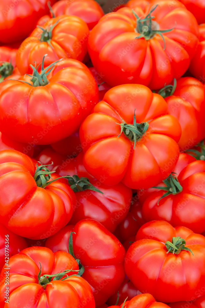 Group of beautiful natural tomatoes of the monterosa class