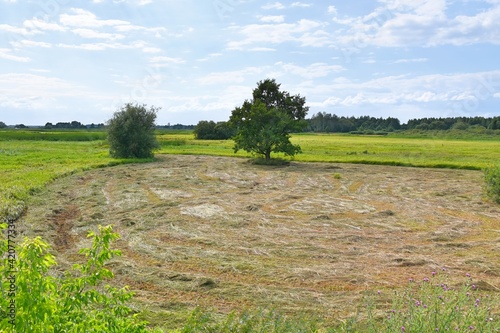 Biebrza National Park, nature reserve, Podlasie,

 photo