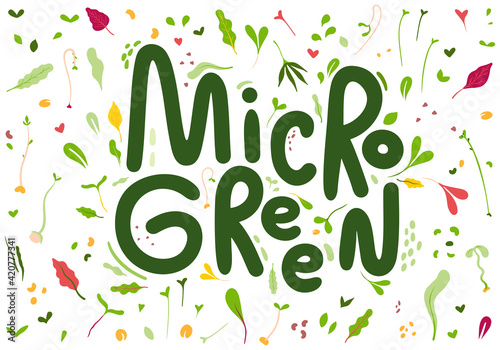 Microgreens or baby greens , lettering, logo,illustration objects