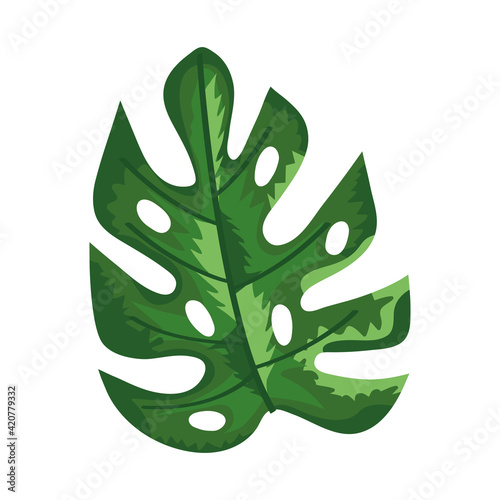 green tropical leaf