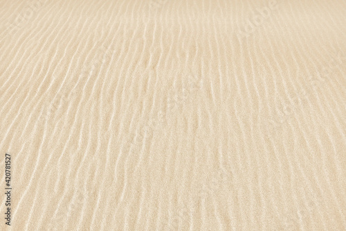 Abstract sand stripes texture made by sea waves on beach. Summer background.