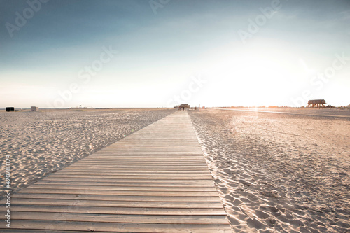 Принти на полотні Wooden boardwalk on sandy beach