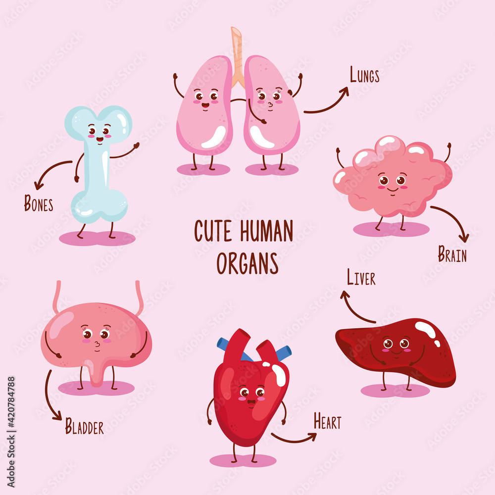 Obraz premium six cute organs