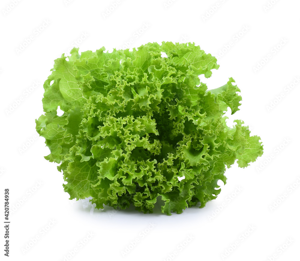 Salad leaf. Lettuce isolated on white background.