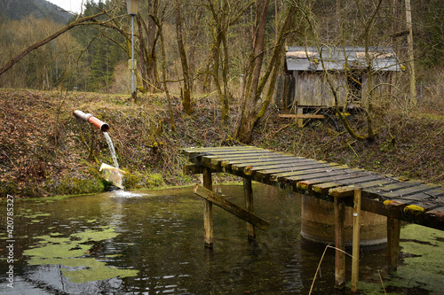 Fischteich in der Natur mit Hütte, Wasserzulauf und verwittertem Steg photo