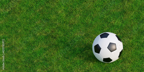 Football or Soccer on green grass lawn texture  3d illustration