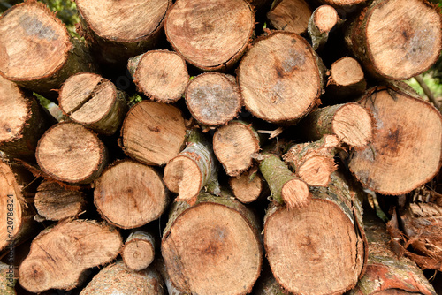 Photo of the front of the brown round log pile