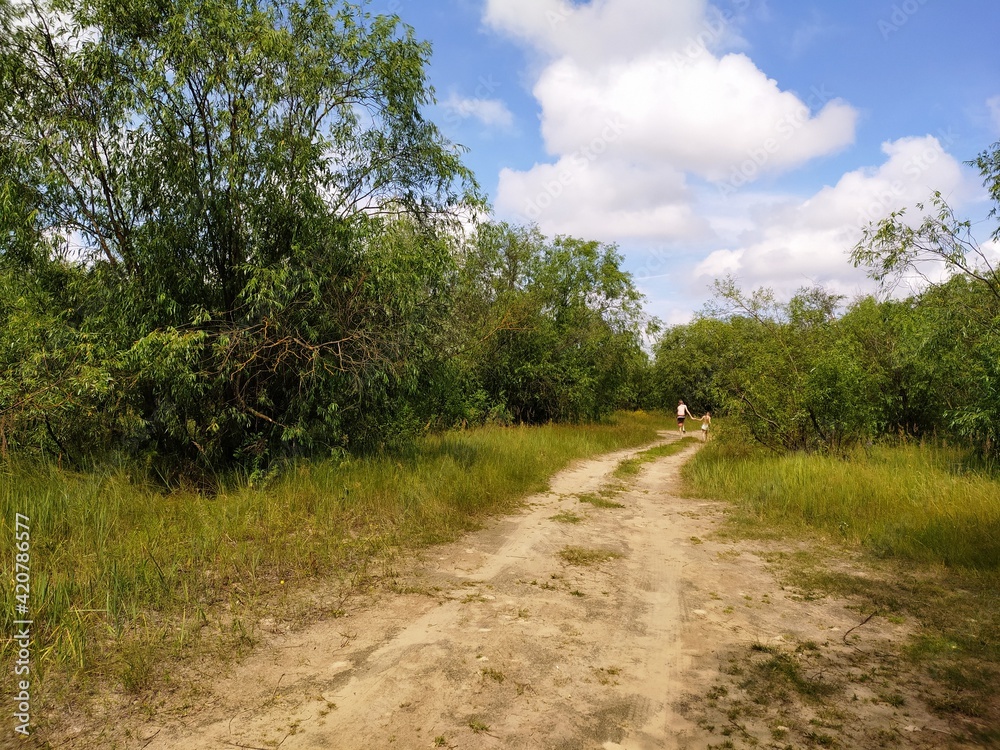 Dirt road near the forest. Summer landscape with field, forest and picturesque sky. Panorama