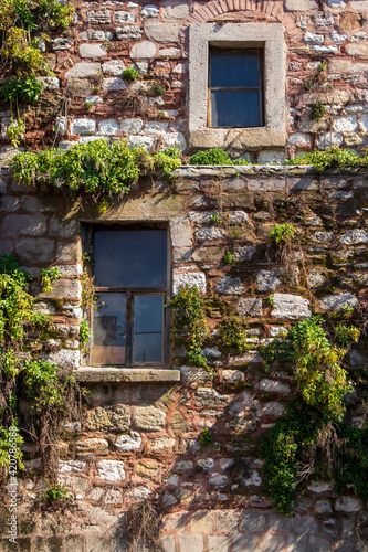 Green plants on the old walls and windows