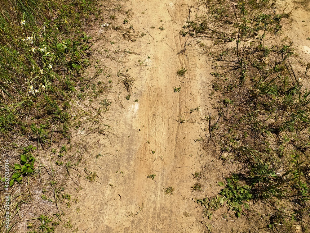 Dirt road through farmland, path in the field
