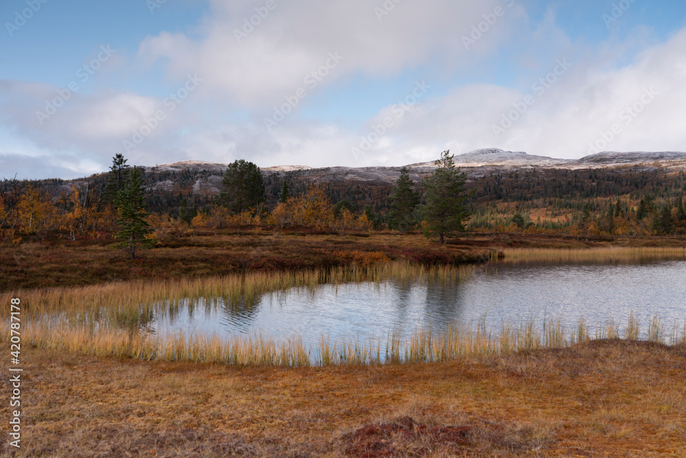 Autumn at Flangstjonna in Aalen, Trondelag, Norway.
