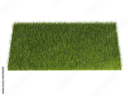 Grass isolated on white background. 3d rendering illustration.