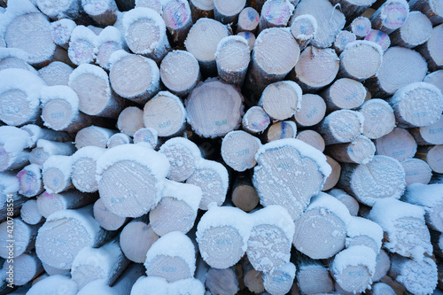 Timber piles covered in snow photo