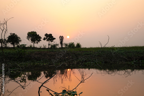 Sunset view reflex by pond water