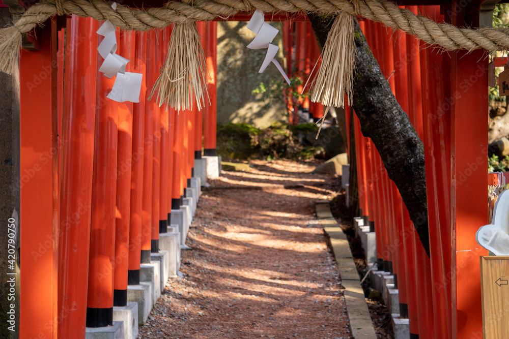 Japanese traditional red torii and shimenawa Japanese traditional red torii and shimenawa