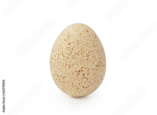 Turkey egg isolated on white background