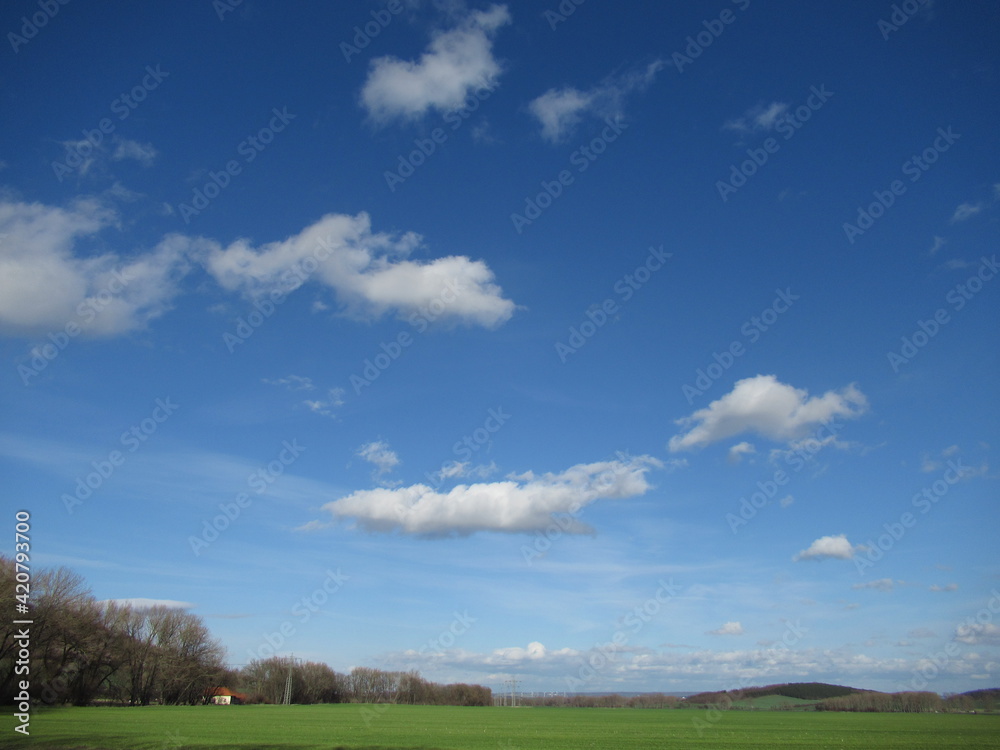 Wiese und leicht bewölkter Himmel Wiese und leicht bewölkter Himmel