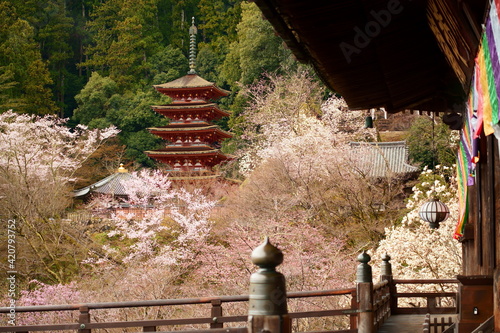 Cuadro en lienzo 春の長谷寺 Hasedera Temple in spring （奈良県桜井市初瀬 Hatsuse, Sakurai City, Nara Prefecture