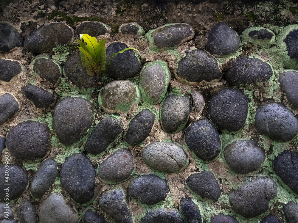 round natural stone wall with wild plants round natural stone wall with wild plants