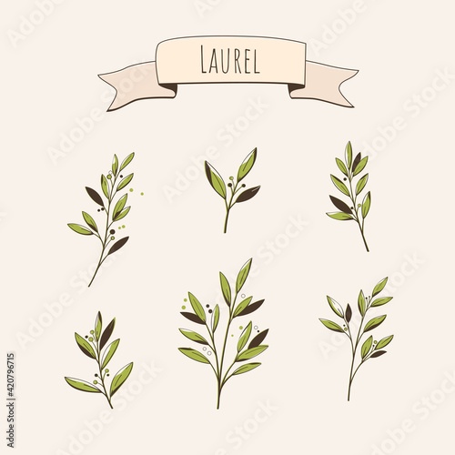 Set of laurel branch. Flat illustration.