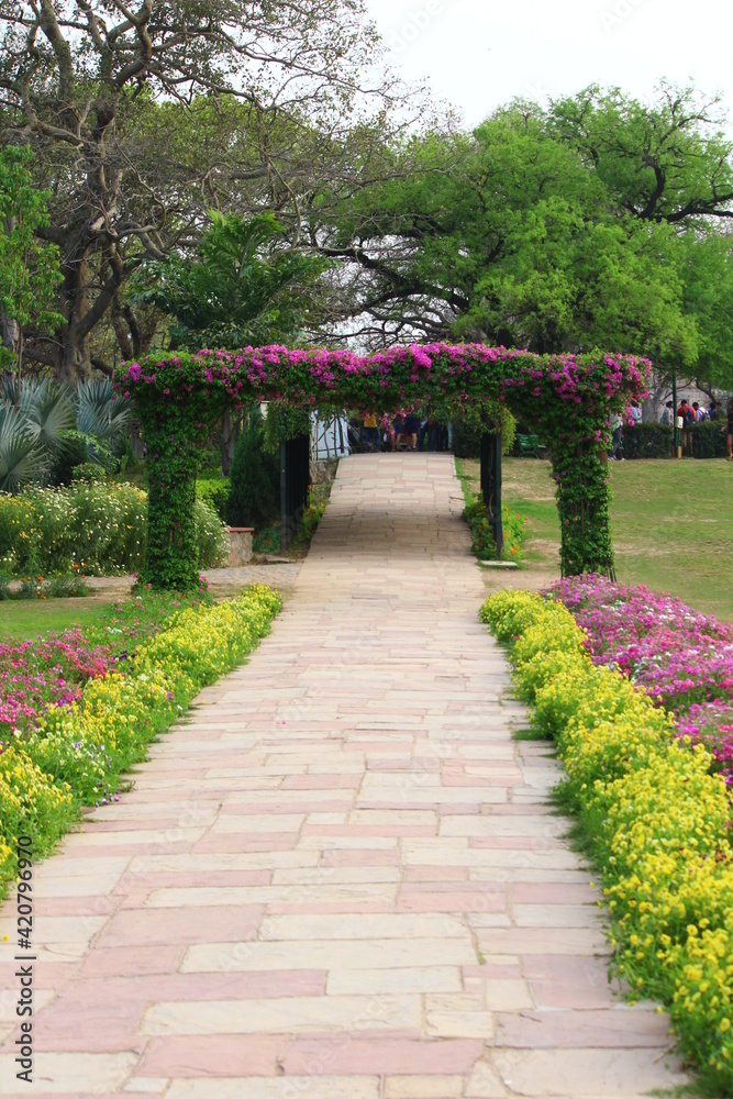 path in lodi gardens, new delhi, india