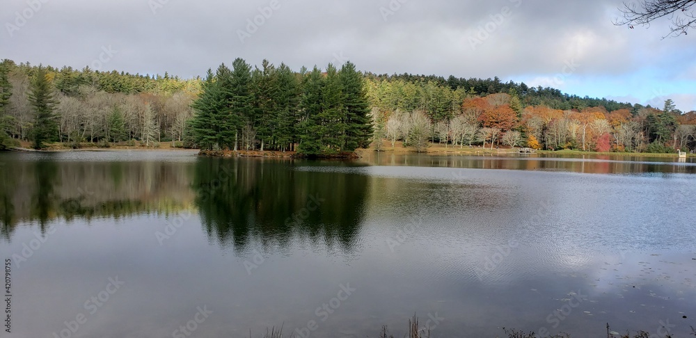 autumn in the park