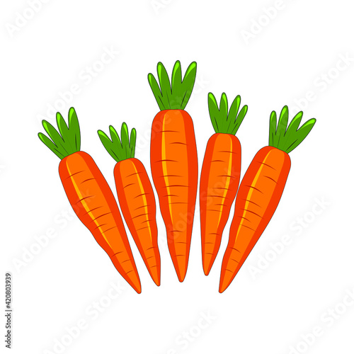 Cute carrot isolated on white background. Vegetables with carotene. Illustration for printing in grocery online stores, children's decor. Vector graphics.