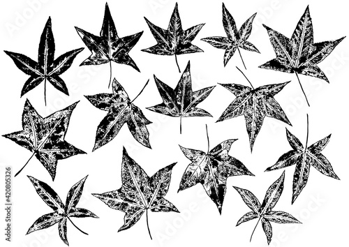 Ink prints of natural leaves on white background